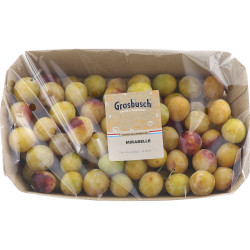 MIRABELLE GROSBUSCH PREPACK 10X500G